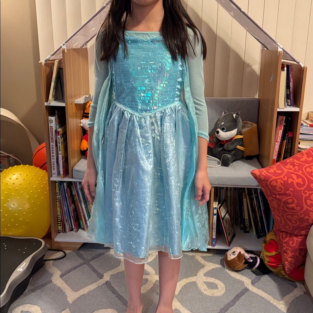 DISNEY Frozen Elsa Princess Dress Size 4